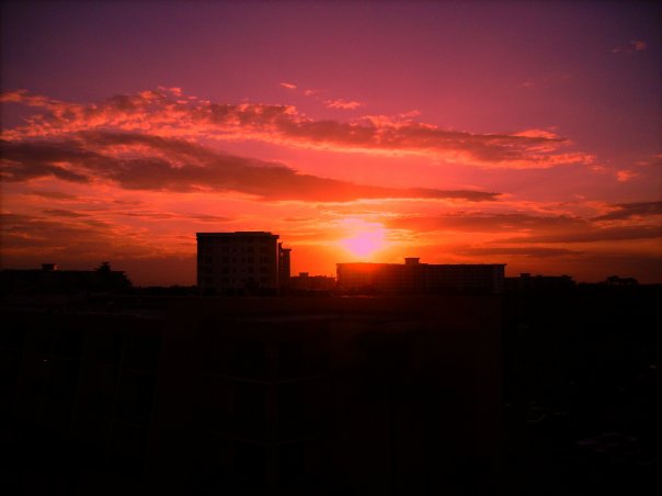 Thanks for the Memories, Florida