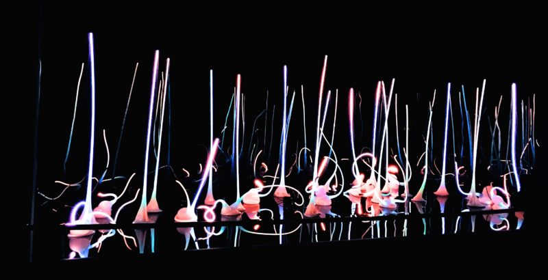 A Secret Garden in Seattle