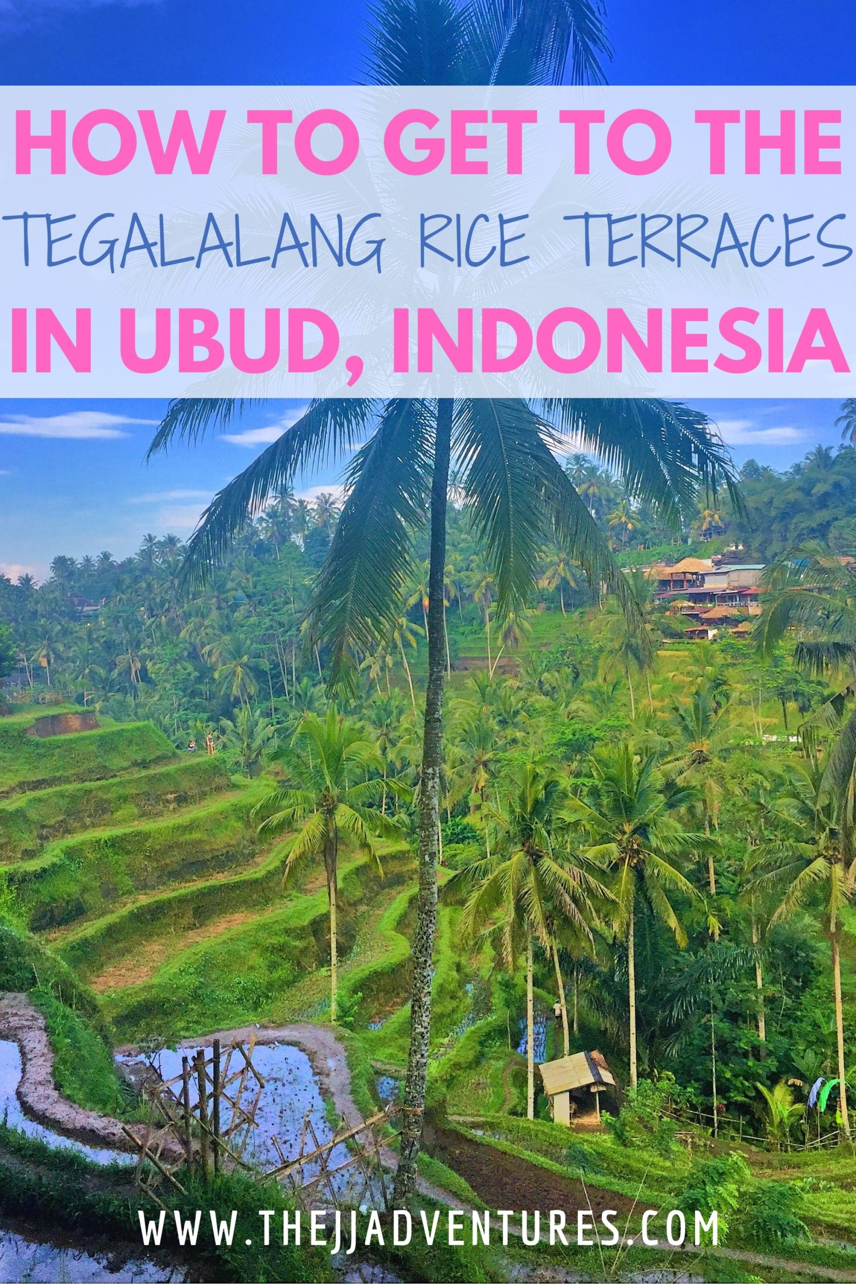 Tanggalang Rice Rice Rice Baby: Half a Day at the Tegallalang Rice Terraces